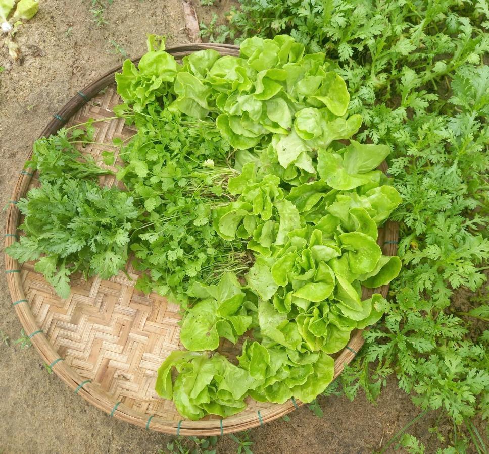 Ngoc An Bang Villa Ngoại thất bức ảnh