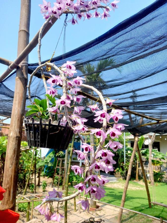 Ngoc An Bang Villa Ngoại thất bức ảnh